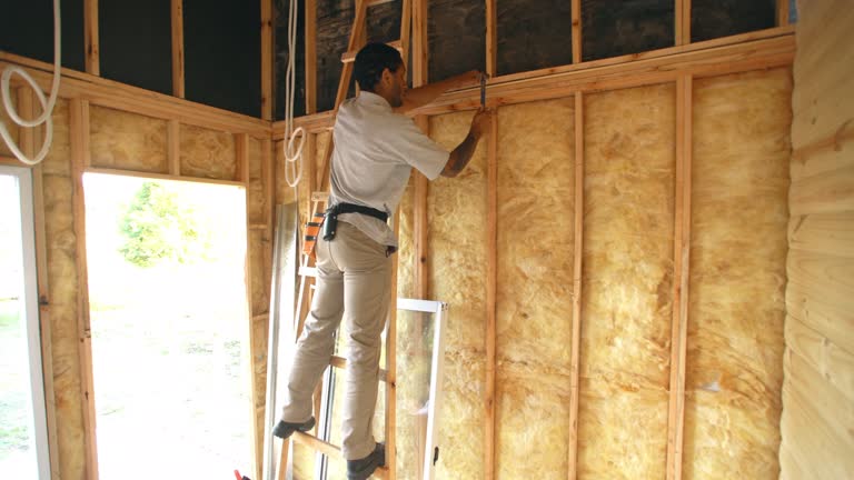 Types of Insulation We Offer in Fresno, TX